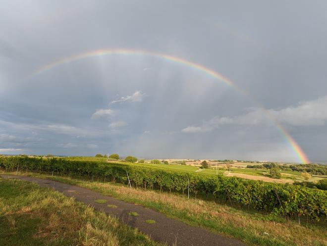 Regenbogen